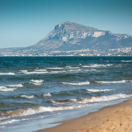 Cosmos By On Travel 奥利瓦